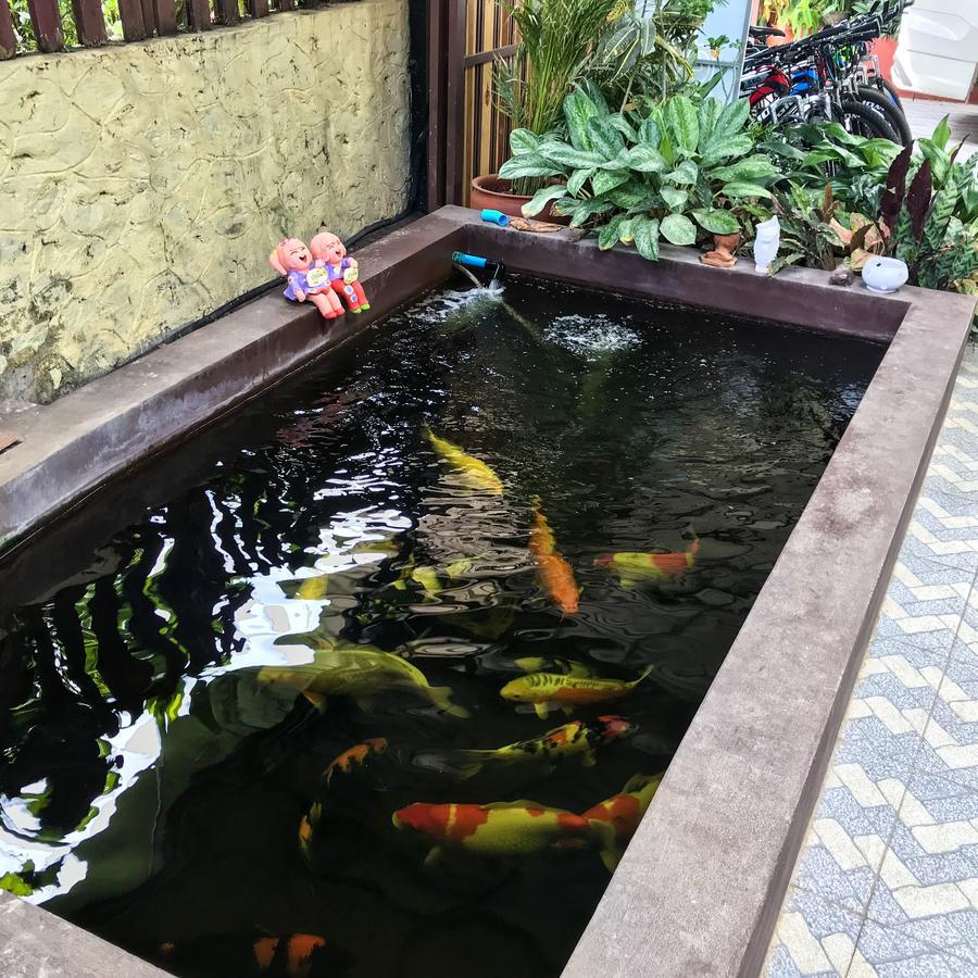Vanvisa Guesthouse Luang Prabang Eksteriør billede