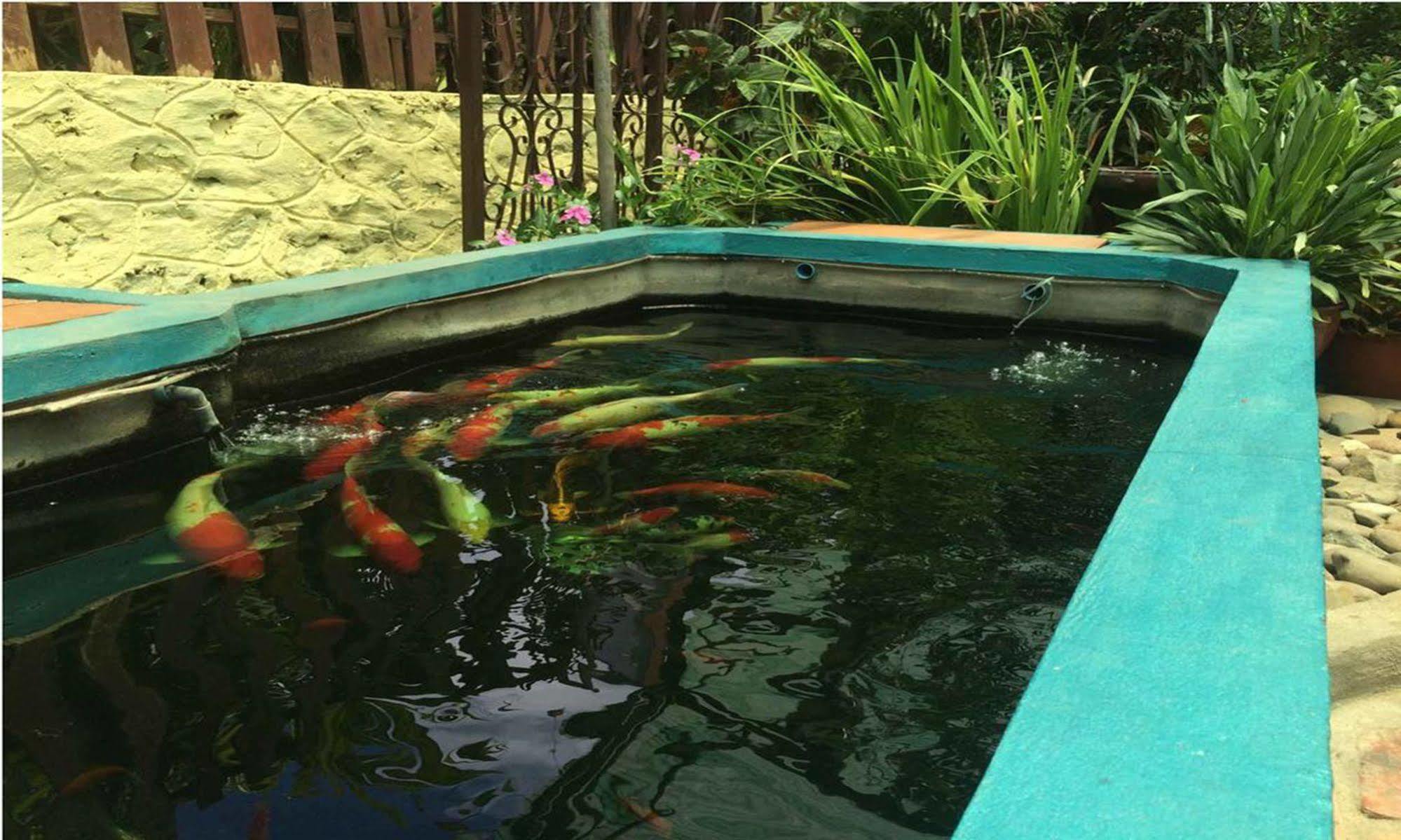 Vanvisa Guesthouse Luang Prabang Eksteriør billede